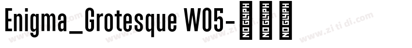 Enigma_Grotesque W05字体转换 Enigma_Grotesque W05字体转换